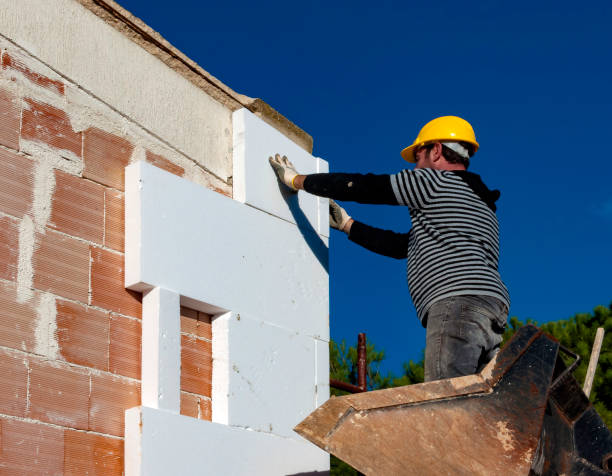 Best Attic Insulation Installation  in Waterloo, NE