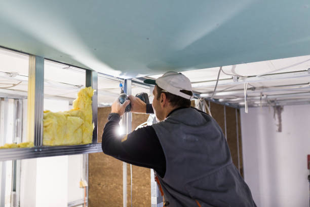 Best Home Insulation Services  in Waterloo, NE