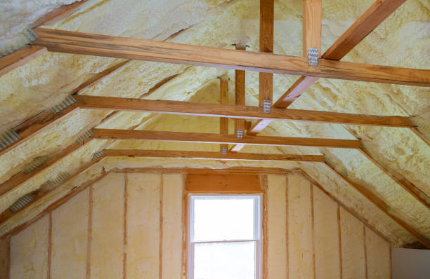 Best Cellulose Insulation  in Waterloo, NE