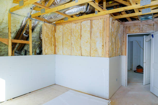 Best Insulation for New Construction  in Waterloo, NE
