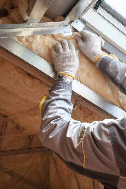 Best Professional Insulation Contractor  in Waterloo, NE