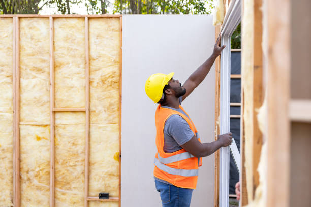 Best Residential Insulation Services  in Waterloo, NE
