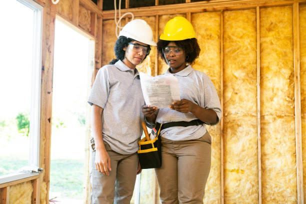 Best Wall Insulation Contractor  in Waterloo, NE