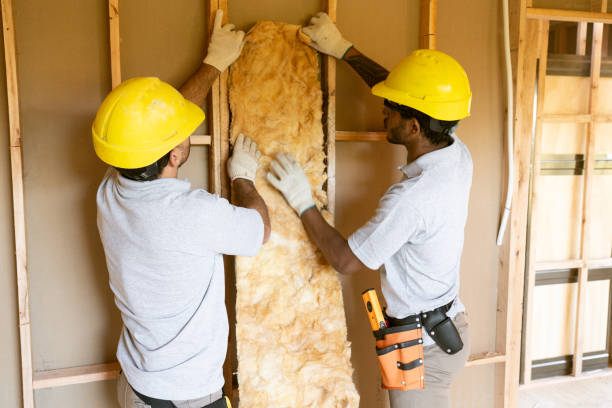 Best Professional Insulation Contractor  in Waterloo, NE
