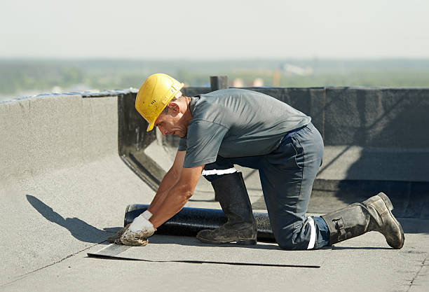 Best Insulation Contractors for Homes  in Waterloo, NE