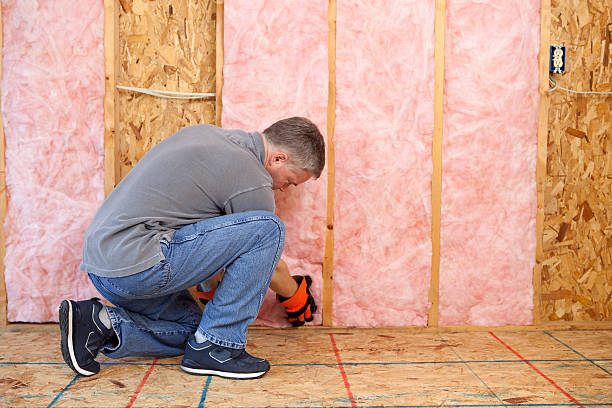 Best Affordable Insulation Services  in Waterloo, NE