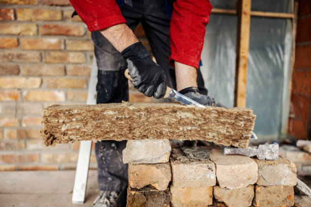 Best Professional Insulation Contractor  in Waterloo, NE
