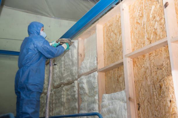 Best Commercial Insulation Contractor  in Waterloo, NE