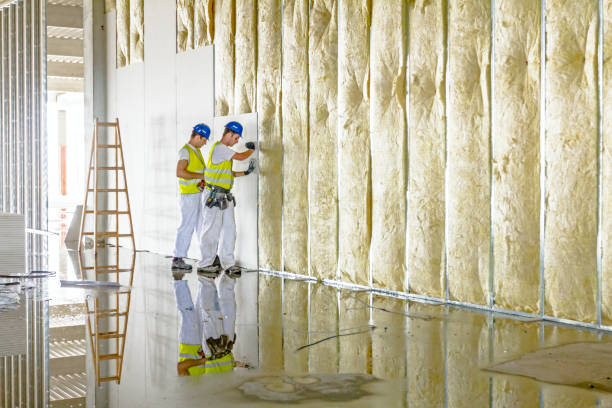 Best Garage Insulation Installation  in Waterloo, NE